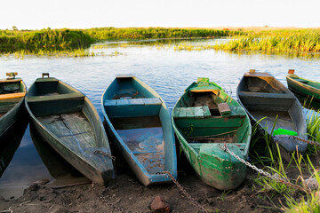 Old wooden boats - 546550927