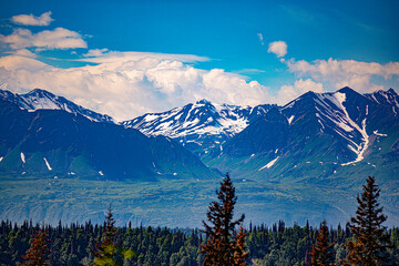 Denali National Park