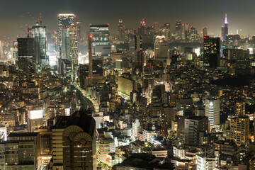 渋谷と新宿の高層ビル群と夜景　東京