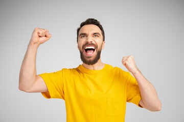 Fototapeta premium thrilled man in yellow t-shirt screaming and showing triumph gesture isolated on grey.