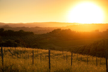 Naklejka na ściany i meble Sunset over hills of a landscape in Tuscany, Italy