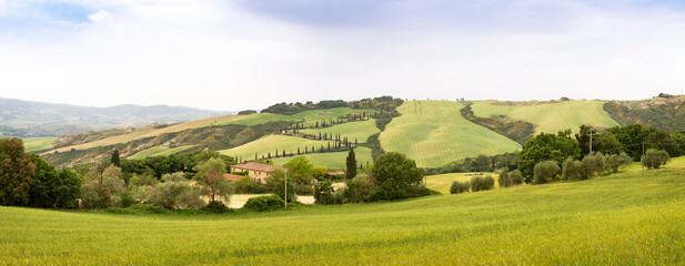 Panoramic landscape of Tuscany with cypress tree road, Italy