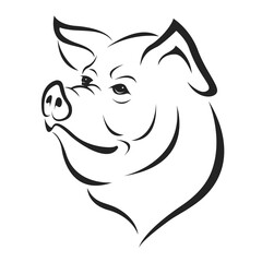 Pig head design isolated on transparent background. Farm animals.