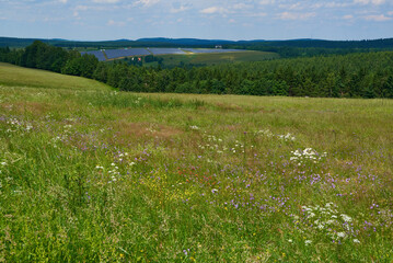 Blumenwiese im Sommer auf dem Erzgebirgskamm mit Solaranlage im Hintergrund	
