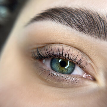 permanent eyebrow make up close up