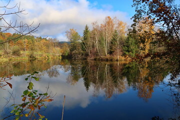 Obraz premium Biotop am Völkermarkter Stausee im Herbst