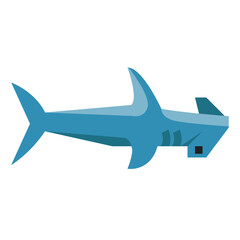 Hammerhead shark. Transparency background