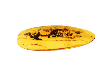 Polished amber with small insect trapped inside  isolated on transparency photo png file 