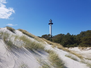 Düne vor Dueodde auf Bornholm