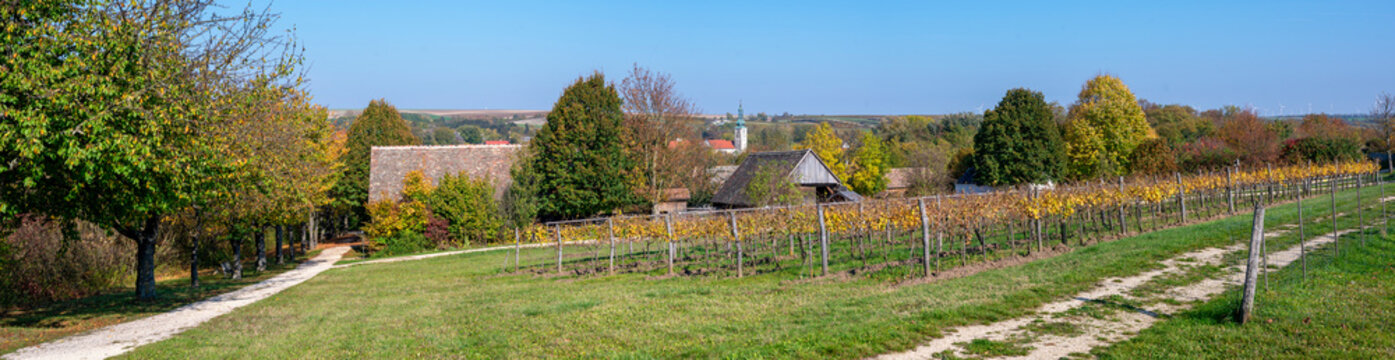  panoramic view across an autumnally farm landscape in the region Winequarter (Weinviertel) in Austria