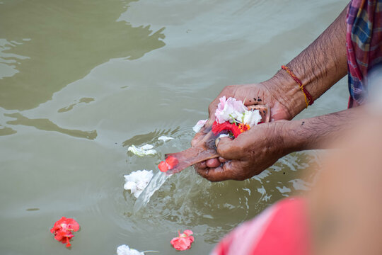  Tarpan at the riverside 