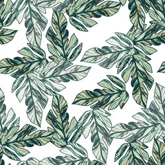 Plakat Creative tropical leaves seamless pattern in sketch style. Palm leaf endless floral background.
