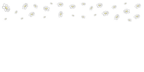 Transparent background with falling small daisies. Vector illustration