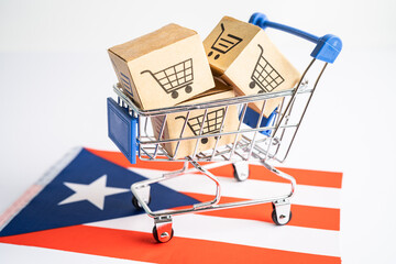 Box with shopping cart logo and Puerto Rico flag, Import Export Shopping online or eCommerce...