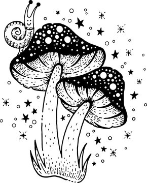 recommend clip art: Mushroom vector. Magic illustration of fly agaric. Celestial forest outline drawing. Mushroom toadstool clipart graphic. Mystical black outline psychedelic tattoo. Doodle boho mystic amanita with slug