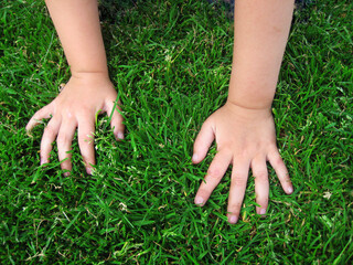 kindliche Hände im Gras
