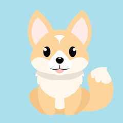 Corgi dog vector illustration in flat style