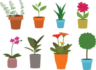 Obraz premium Set of Plant and flower in plant pot