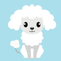 Poodle dog vector illustration in flat style