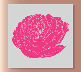 Hand drawn flower illustration decorations. fashion sign. Summer logo, emblem. ink drawing flowers, botanical illustration isolated on white background. Hand drawn floral vector elements. brush stroke