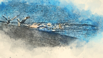 Naklejka premium Watercolor of Atlantic Bottlenose Dolphins strandfeeding along the South Carolina coast