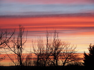 Obraz premium The morning