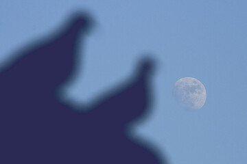 Full moon and two silhouettes of doves.