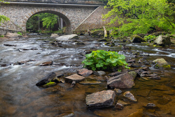 Divoka Orlice river in Zemska brana nature reserve, Orlicke mountains, Eastern Bohemia, Czech Republic