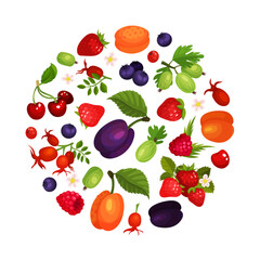 Fresh ripe berries of circular shape. Cherry, blackberry, strawberry, goodberry, dog rose and blueberry poster, card, banner cartoon vector