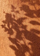 Plant shadow on brown wall