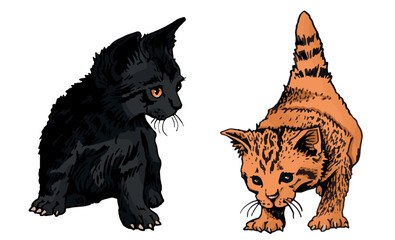 Vector color two cats,graphical drawing of domestic pets,illustration for design and books