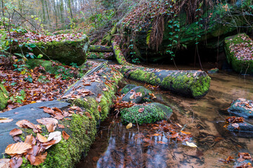 Karlstalschlucht im Herbst in der Pfalz