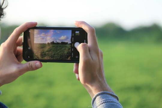 taking a picture of nature with a smartphone
