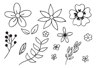 cute Flowers leaves and Plant doodle Hand Drawn isolated on white background.