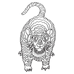 very angry scary tiger hand drawn vector