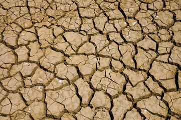 Cracked dry brown soil texture.