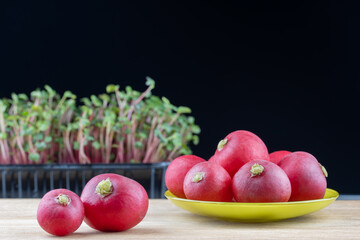 Still life organic ripe radish fresh vegetable on green plate on wooden background. Microgreens plant raphanus sativus family brassicaceae grow on black background. Healthy nutrition and organic food.