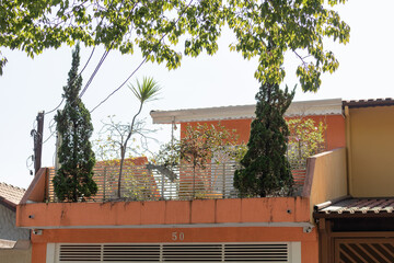 Small House terrace garden