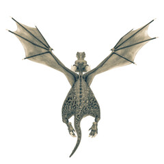 green dragon cartoon in a white background