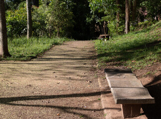 Dirt path on a park