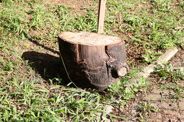 Stump