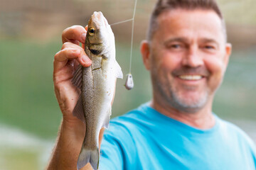 fisherman unfocused with freshly caught seabass with line and sinker