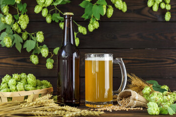 A bottle and a glass of unfiltered beer with foam in a glass glass with hop cones and wheat ears on a wooden background