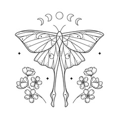 Celestial grainy line geometric luna moth with moon phases and flowers Mystic geometry butterfly with floral arrangement
