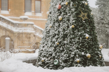 Christmas tree decorated with golden balls