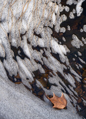 689-80 Copper Leaf