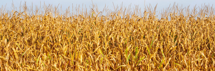  Climate change with drought and heat