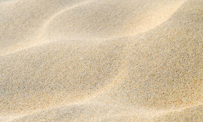 Fototapeta na wymiar Dunes of sand on the beach in the summer. Background closeup. Selective focus. 