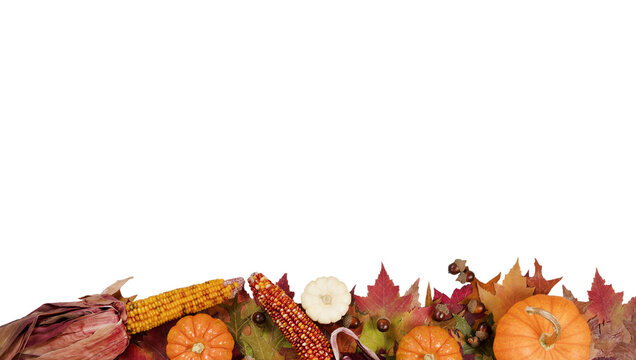 Autumn foliage with pumpkins, gourds, corn and acorns for Thanksgiving and fall holidays on transparent background