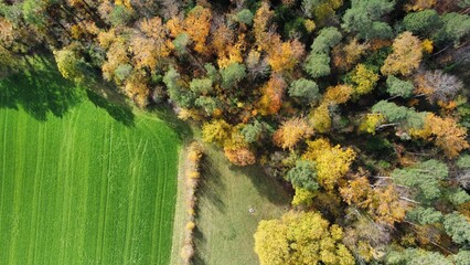 Forest and green field in autumn from top 